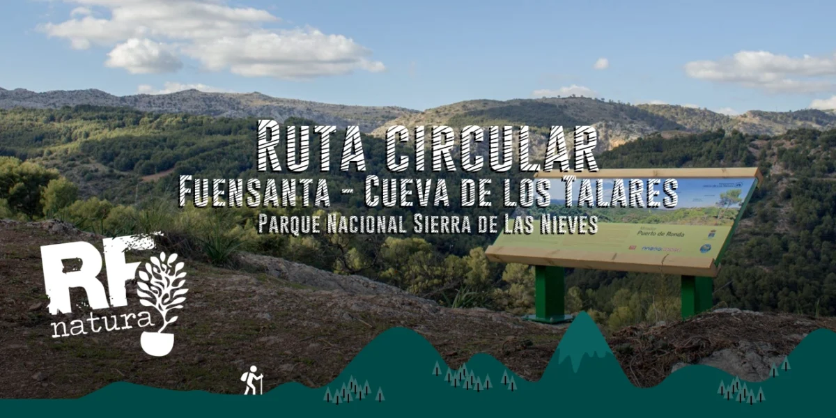 Ruta Circular de la Fuensanta a la Cueva de los Talares