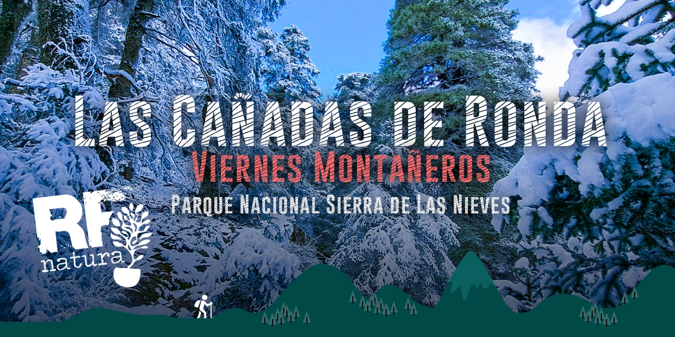 Ruta de las Cañadas de Ronda