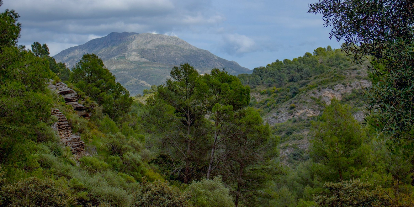 Descubren un volcán activo en el Parque Nacional Sierra de las Nieves