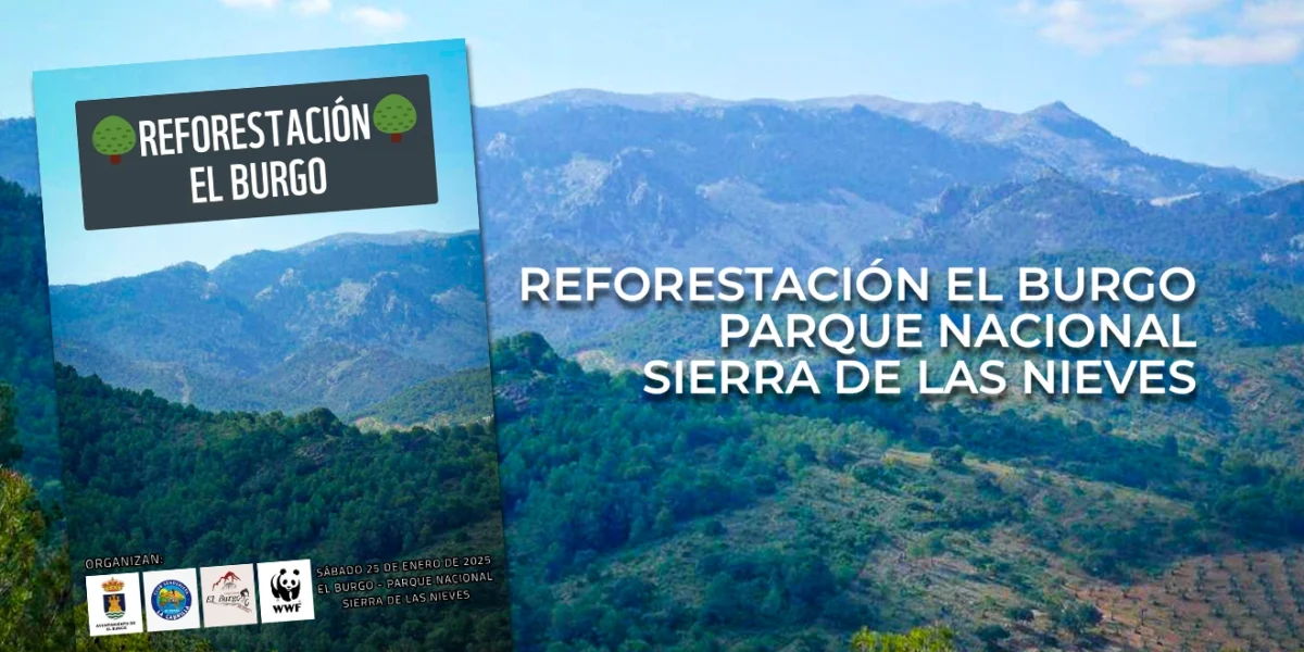 Reforestación El Burgo - Parque Nacional Sierra de las Nieves