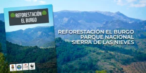 Reforestación El Burgo - Parque Nacional Sierra de las Nieves