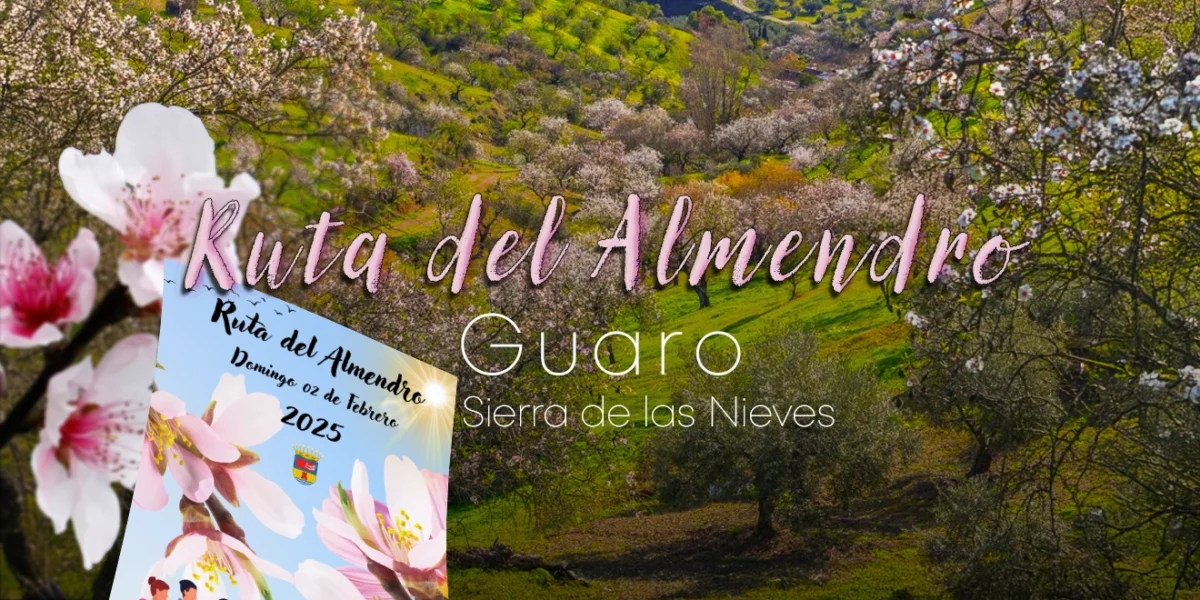 Ruta del Almendro Guaro 2025