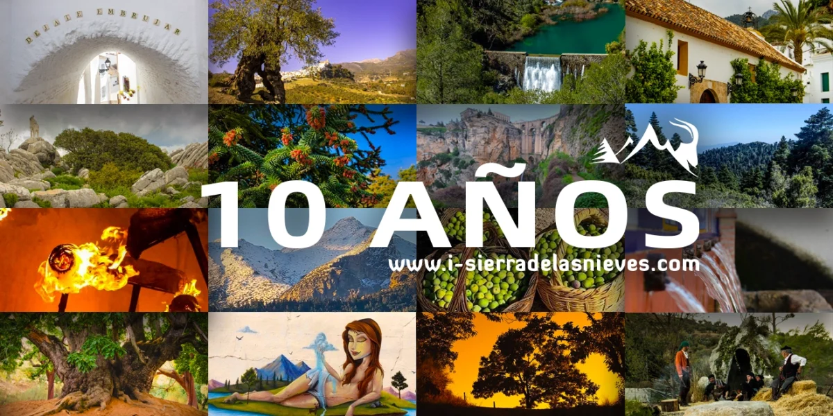 Celebramos 10 Años de i-sierradelasnieves.com: Una Década de Naturaleza y Cultura
