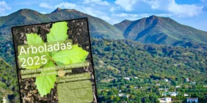 Arbolada de Primavera 2025: Un Compromiso Verde en la Sierra de las Nieves
