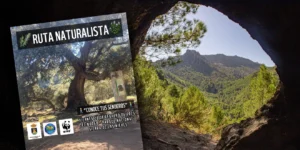 Ruta Naturalista Parque Nacional Sierra de las Nieves El Burgo