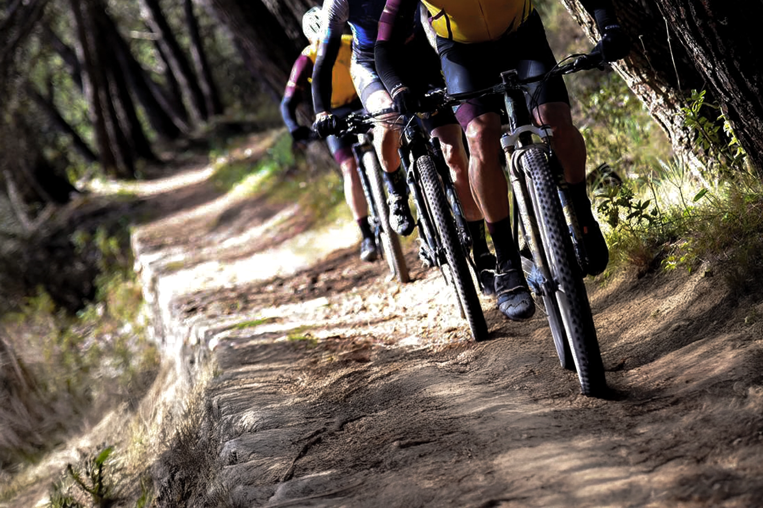 Ciclismo: Recorridos para Todos los Niveles