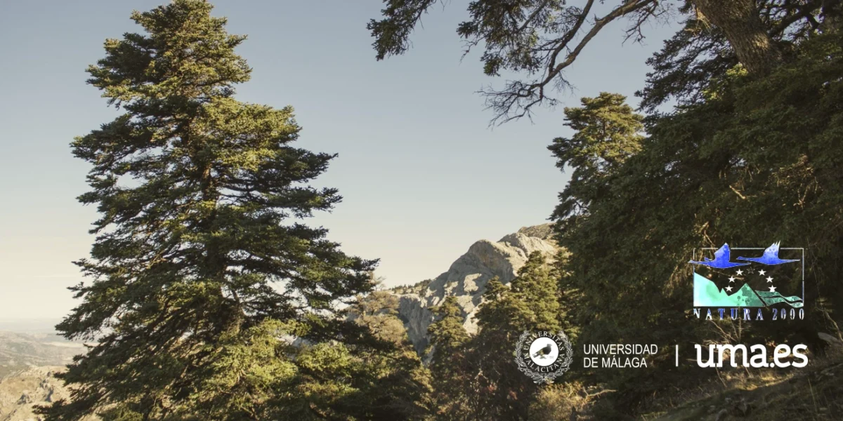 Descubren 122 ecosistemas en la Sierra de las Nieves