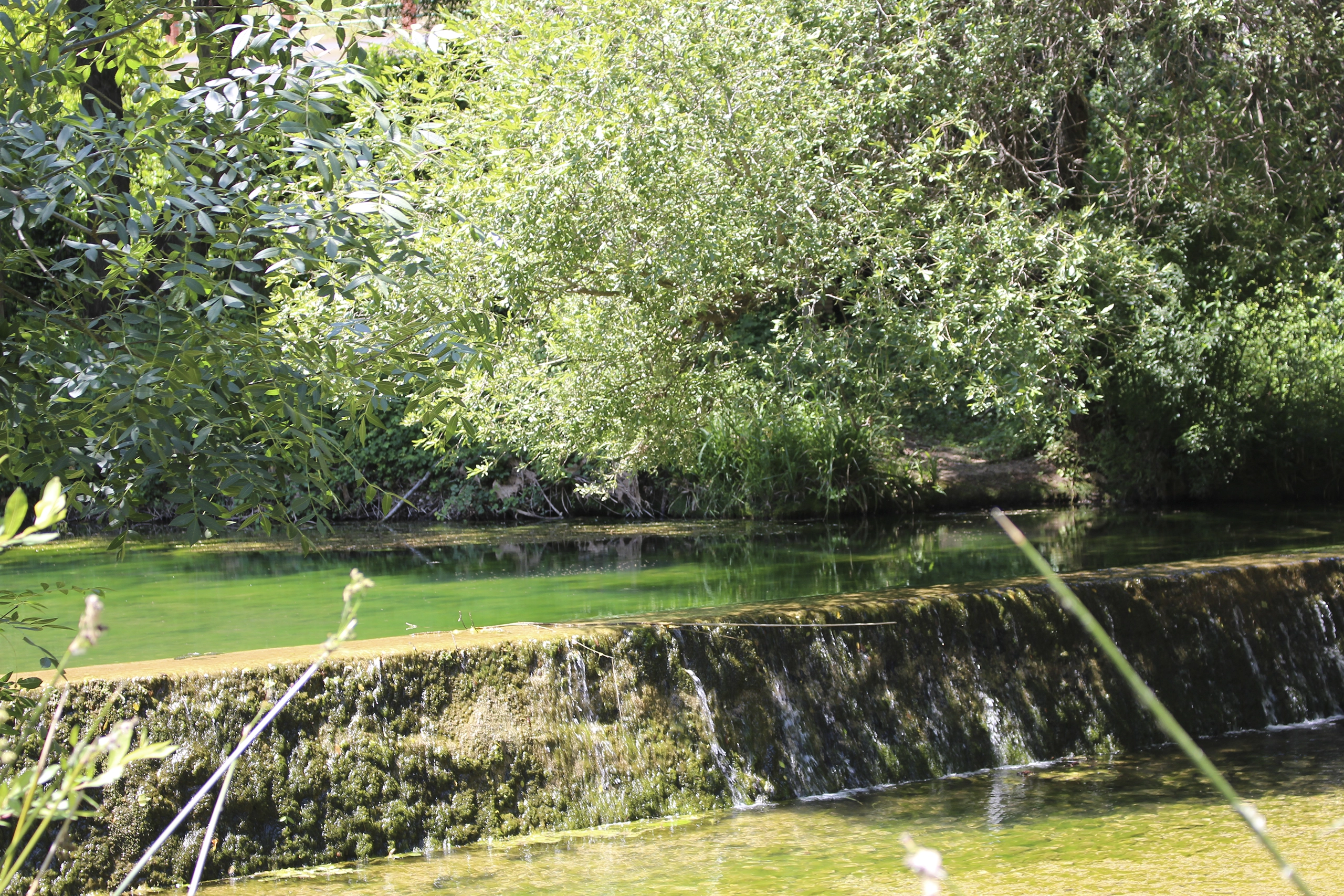 El Largo - Río Turón - El Burgo