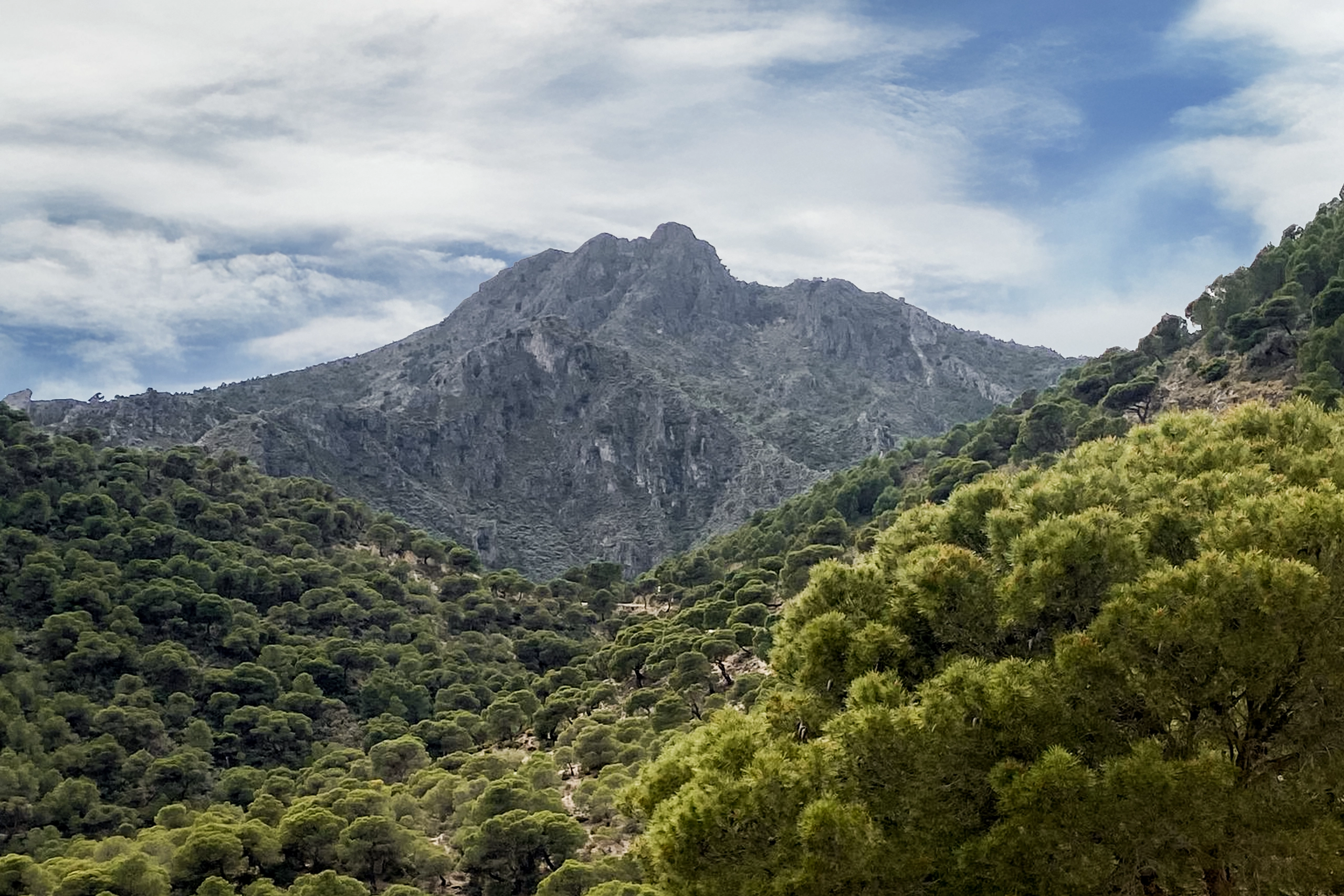 Pico del Grajo o Valdivia y Tajo la Canana desde Puerto Martinez