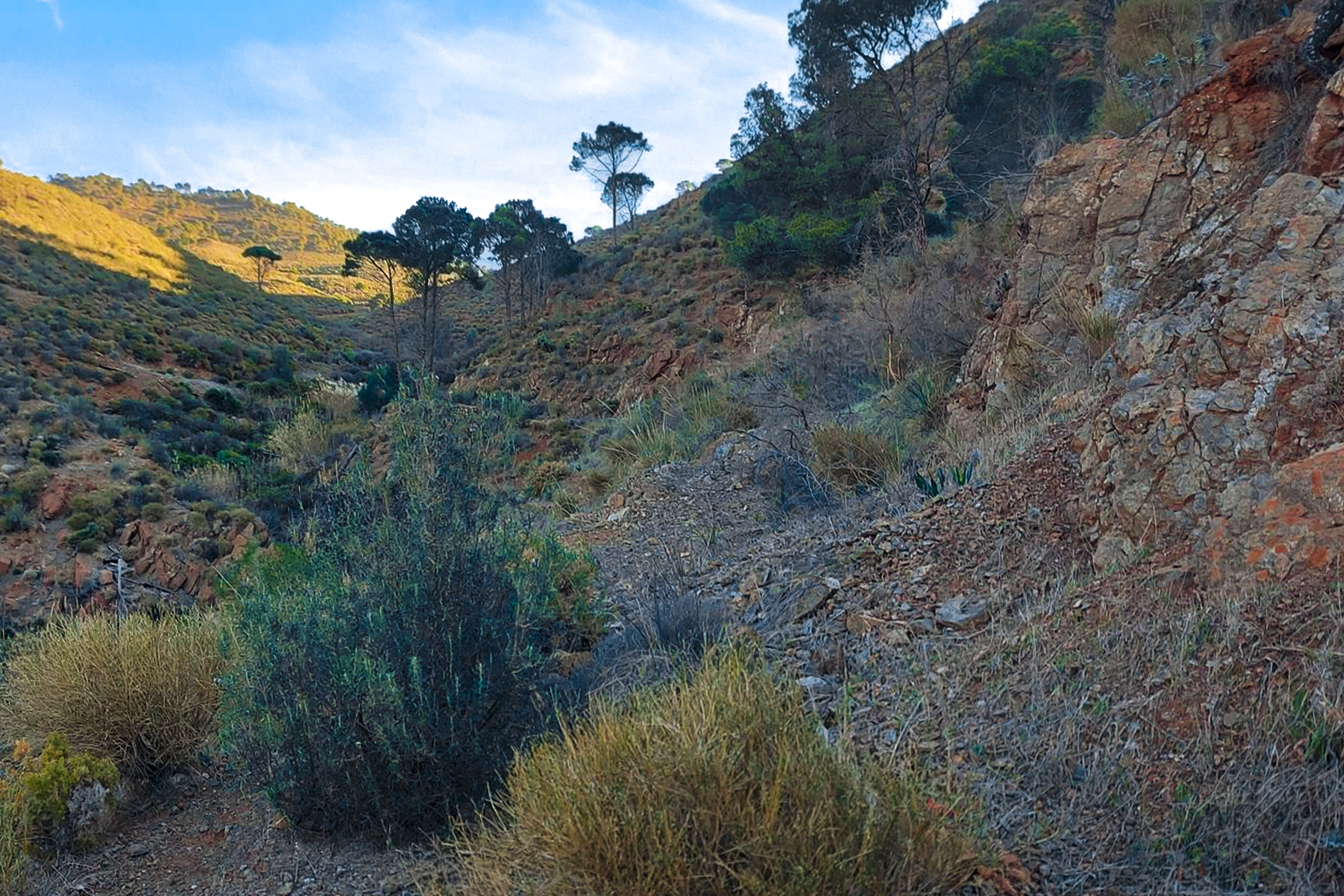 Sierra de Robla - Casarabonela