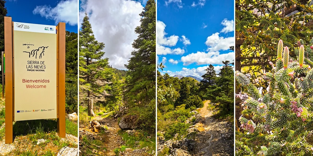 La Sierra de las Nieves estrena su Consejo de Participación del Parque Nacional