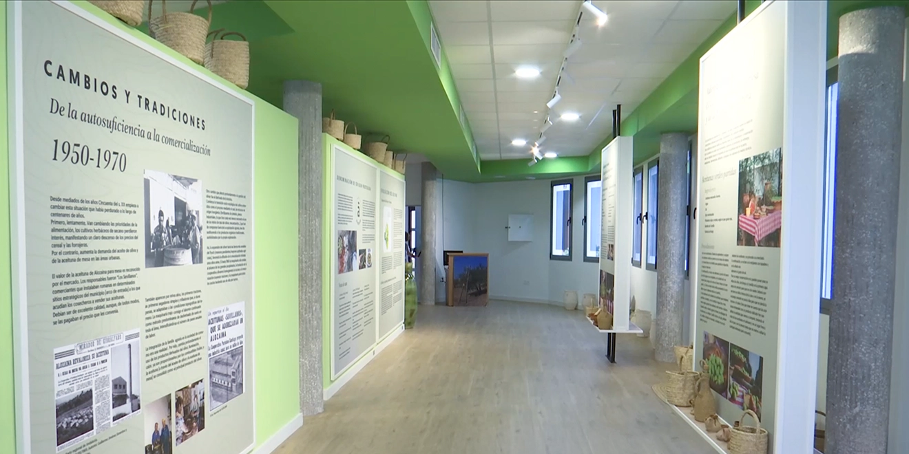 Centro de Interpretación de la Aceituna de Alozaina