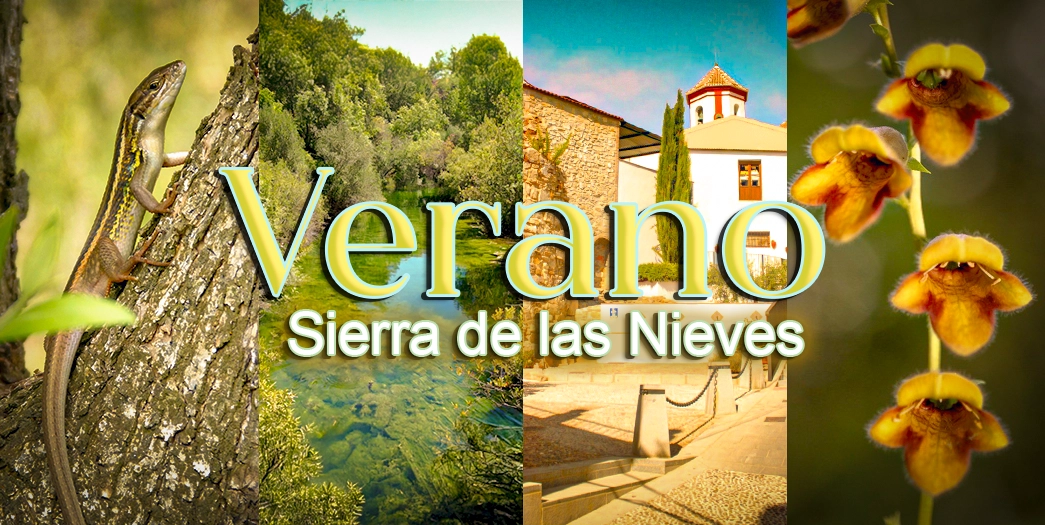 Verano Sierra de las Nieves