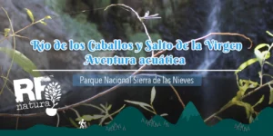 Una aventura acuática en el corazón de la Sierra de las Nieves