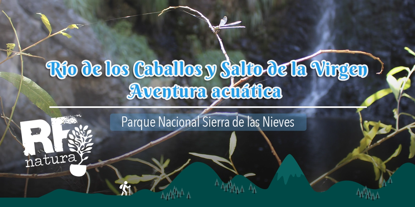 Una aventura acuática en el corazón de la Sierra de las Nieves