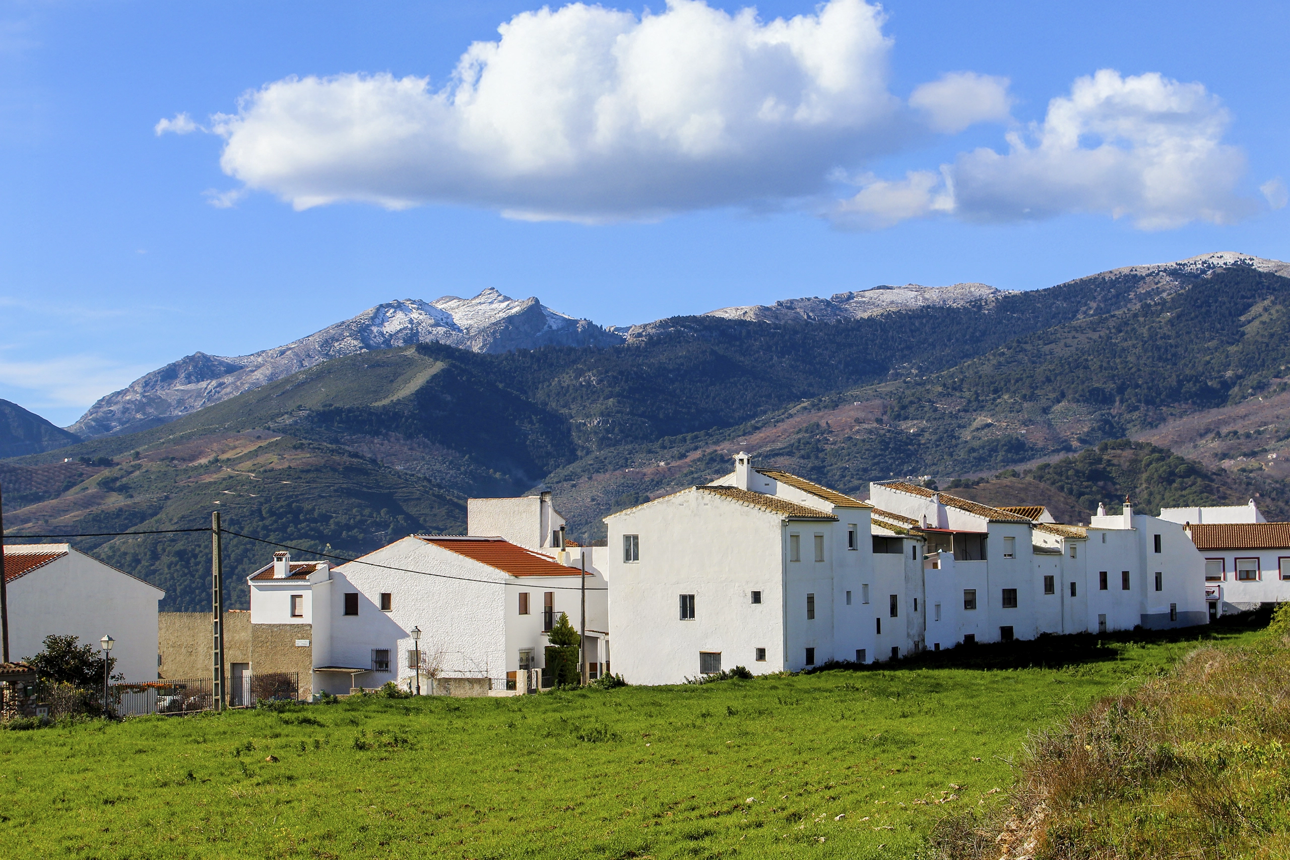 Mole de la Sierra de las Nieves