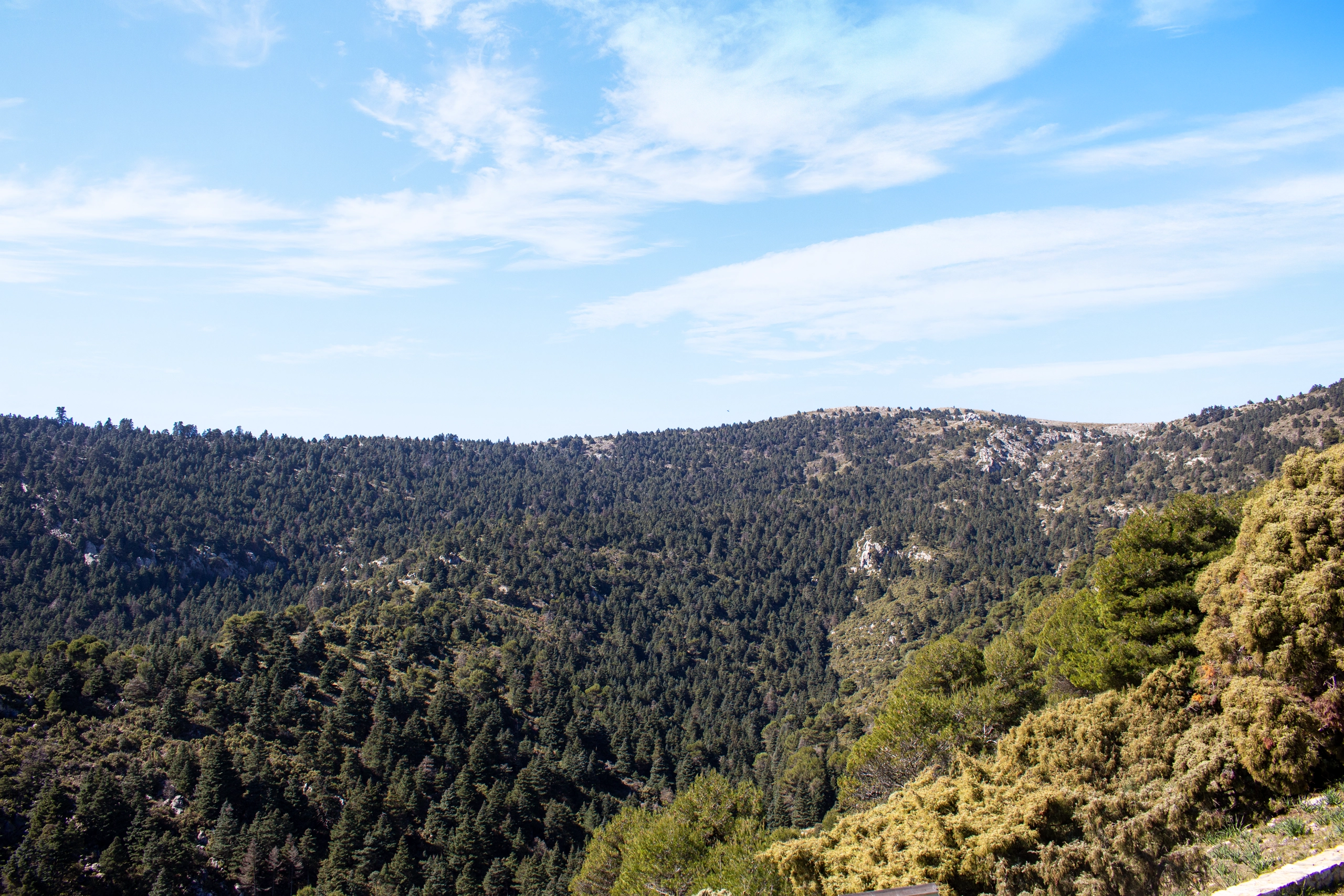 Panorámica Pinsapar desde Mirador Luis Ceballos