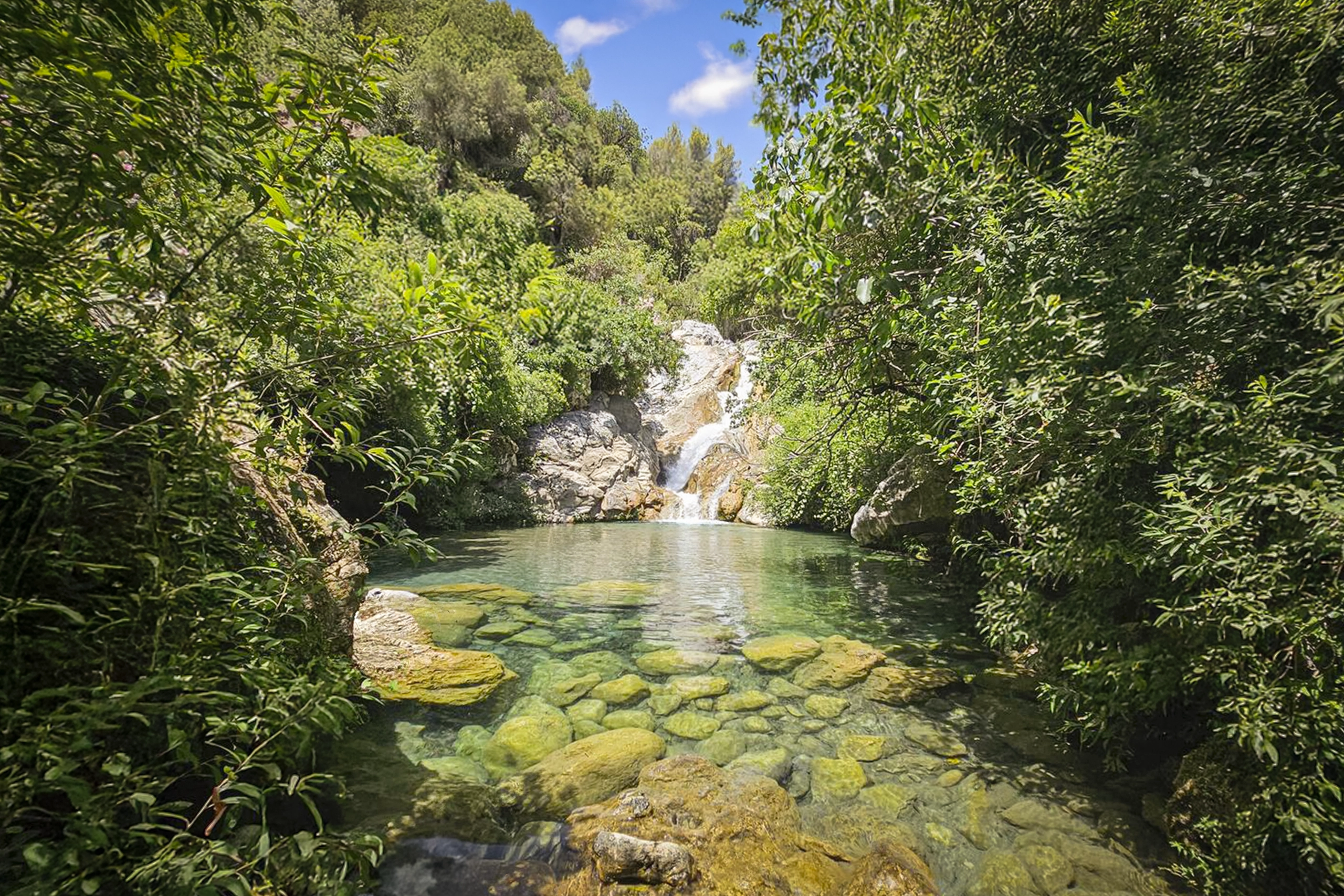 Pozas Macias