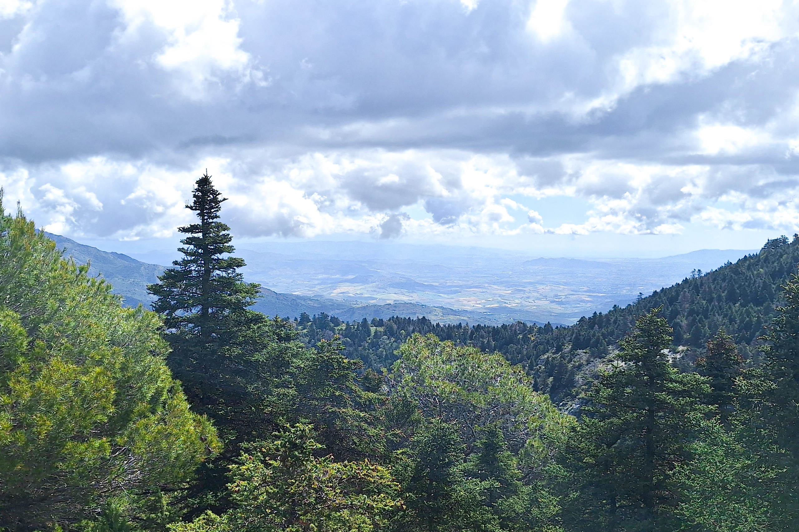 Vistas desde Puerto Bellina