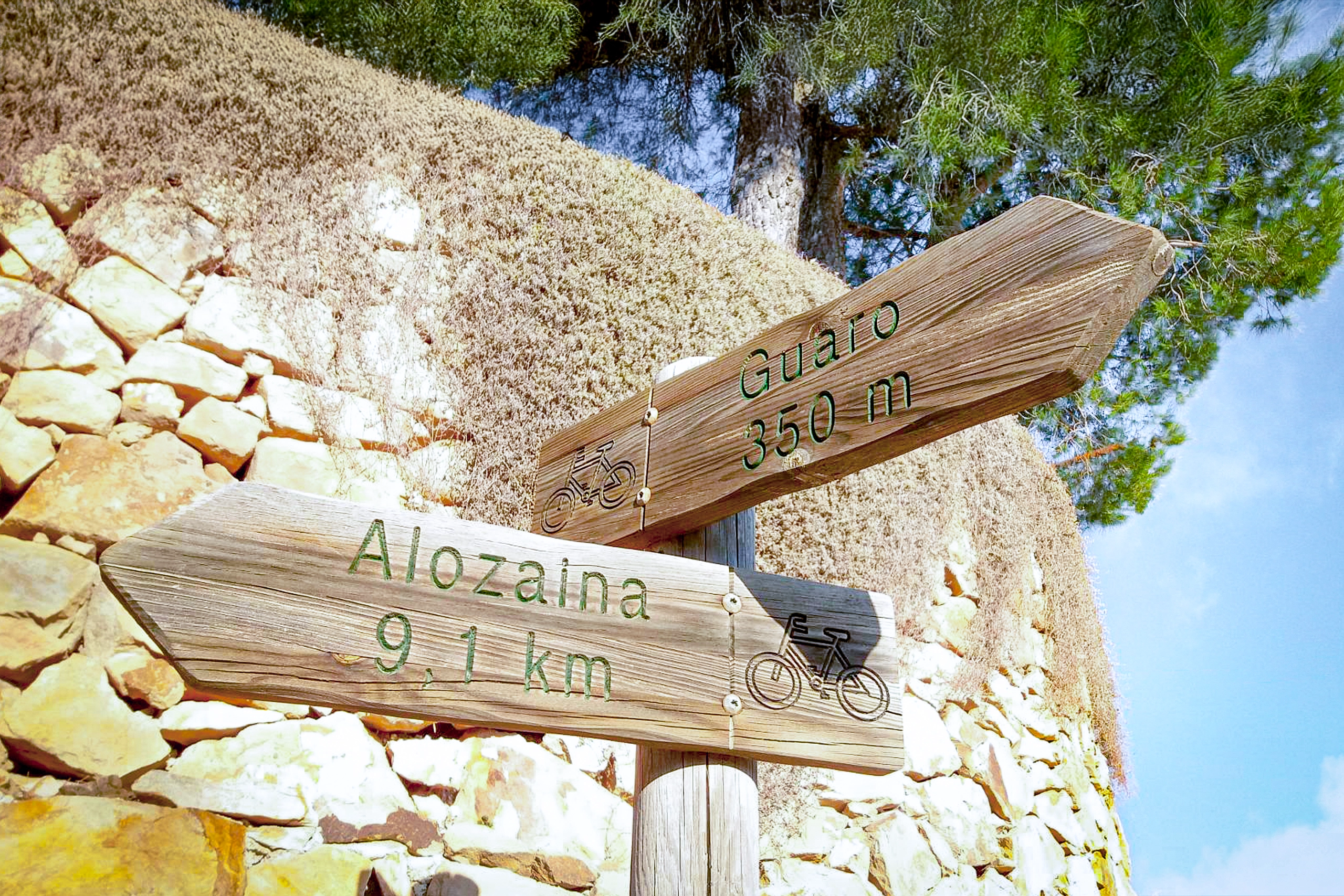 Rutas MTB Guaro