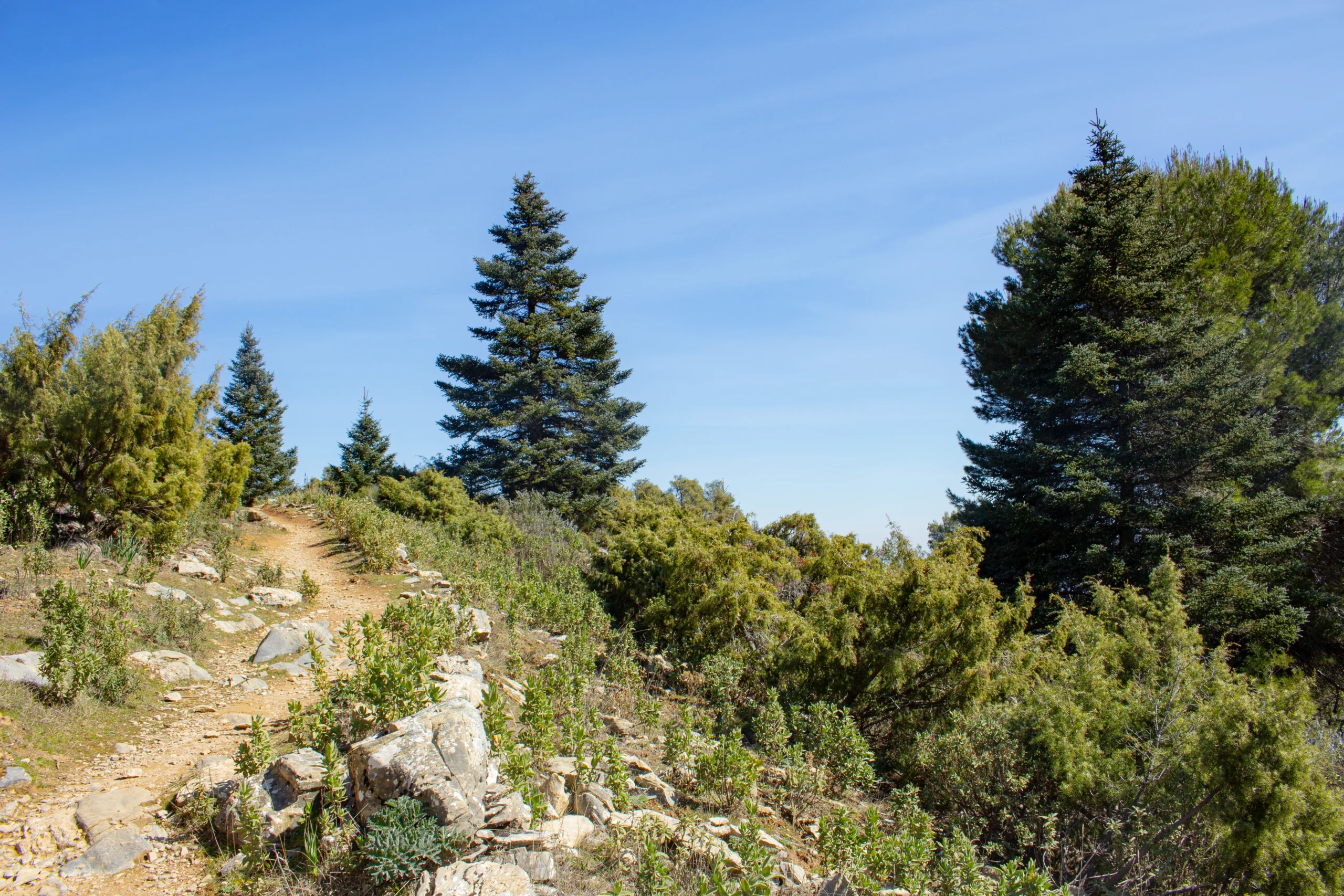 Sendero Tajo la Caina
