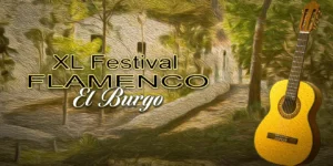 XL Festival Flamenco El Burgo
