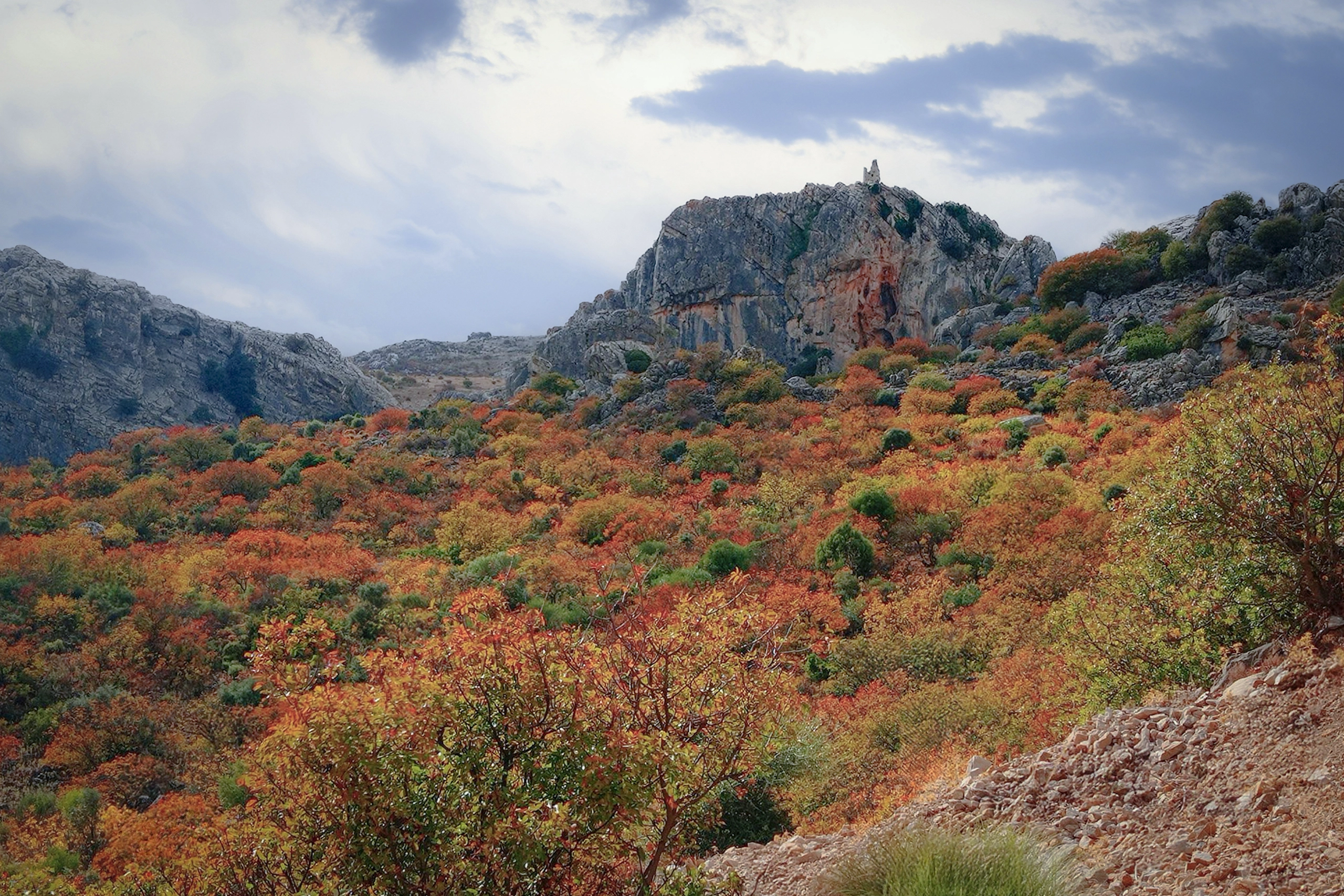 El Cornicabral del Valle de Lífa: un tesoro escondido