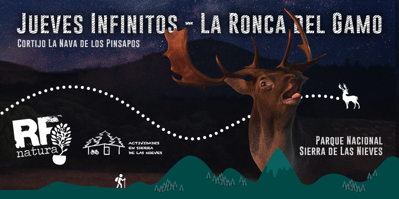 Jueves Infinitos - La Ronca del Gamo