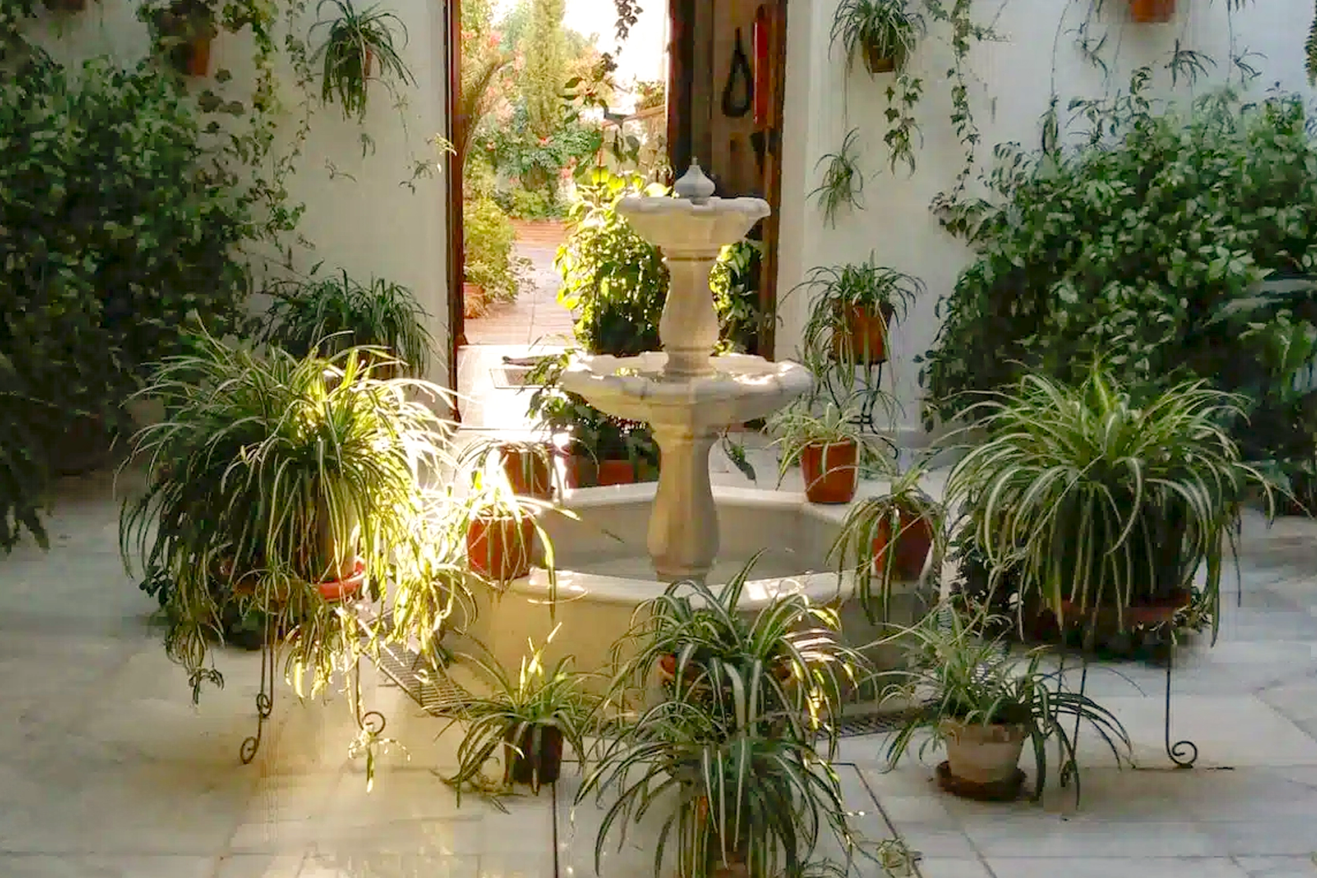 Patio Casa Sola - Yunquera