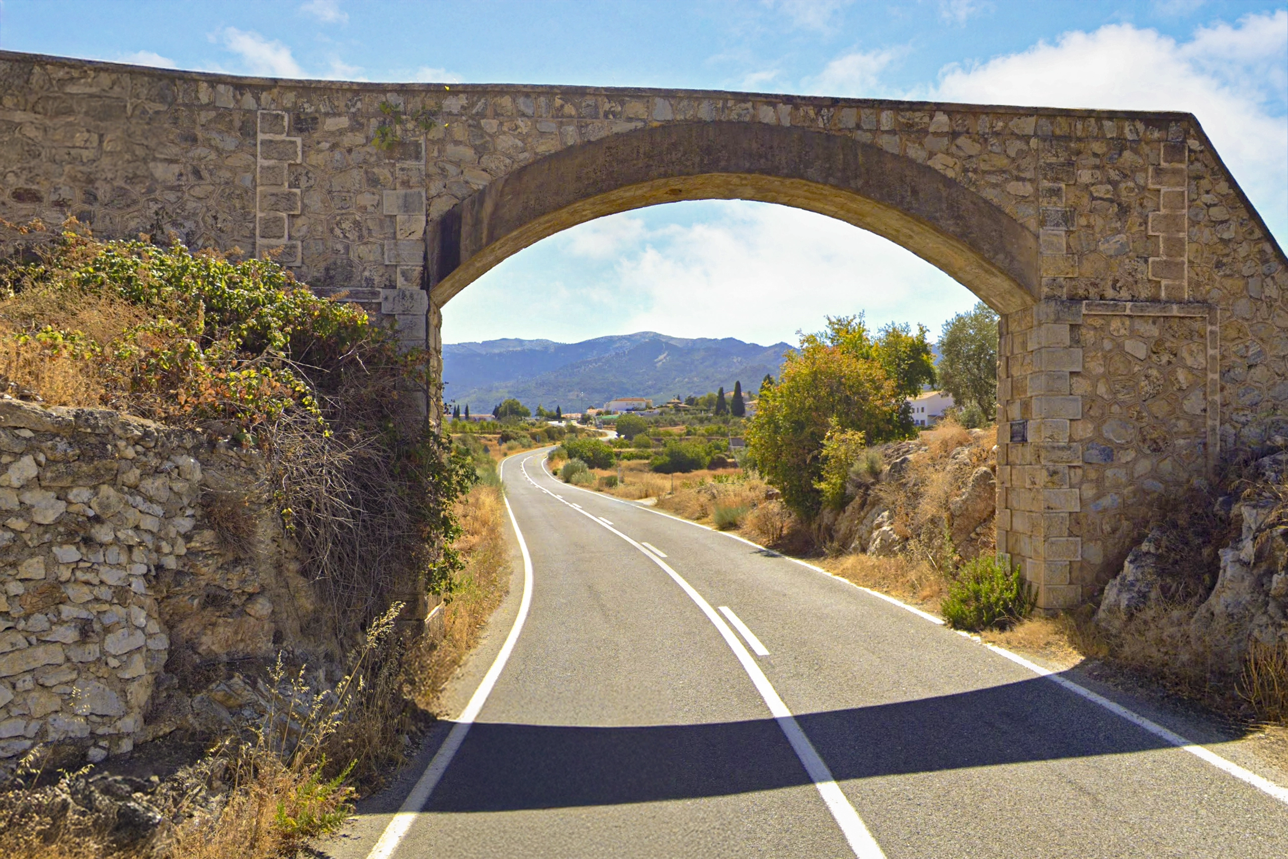 Puente Palo