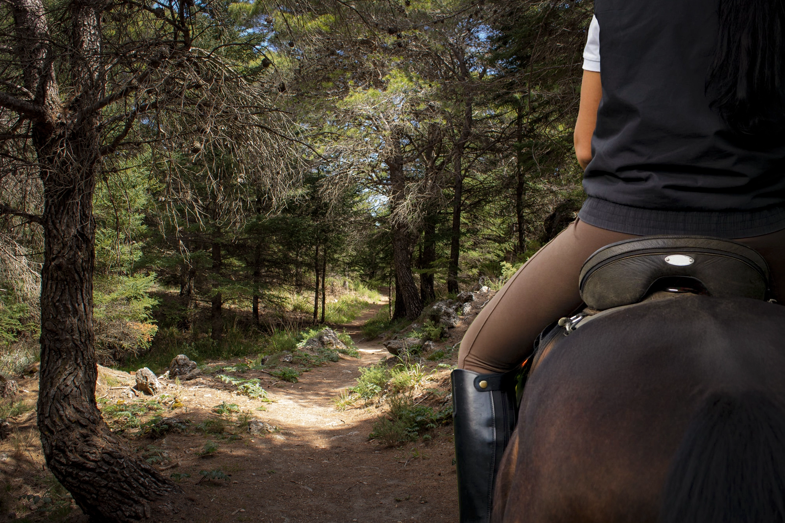 Rutas a Caballo Yunquera