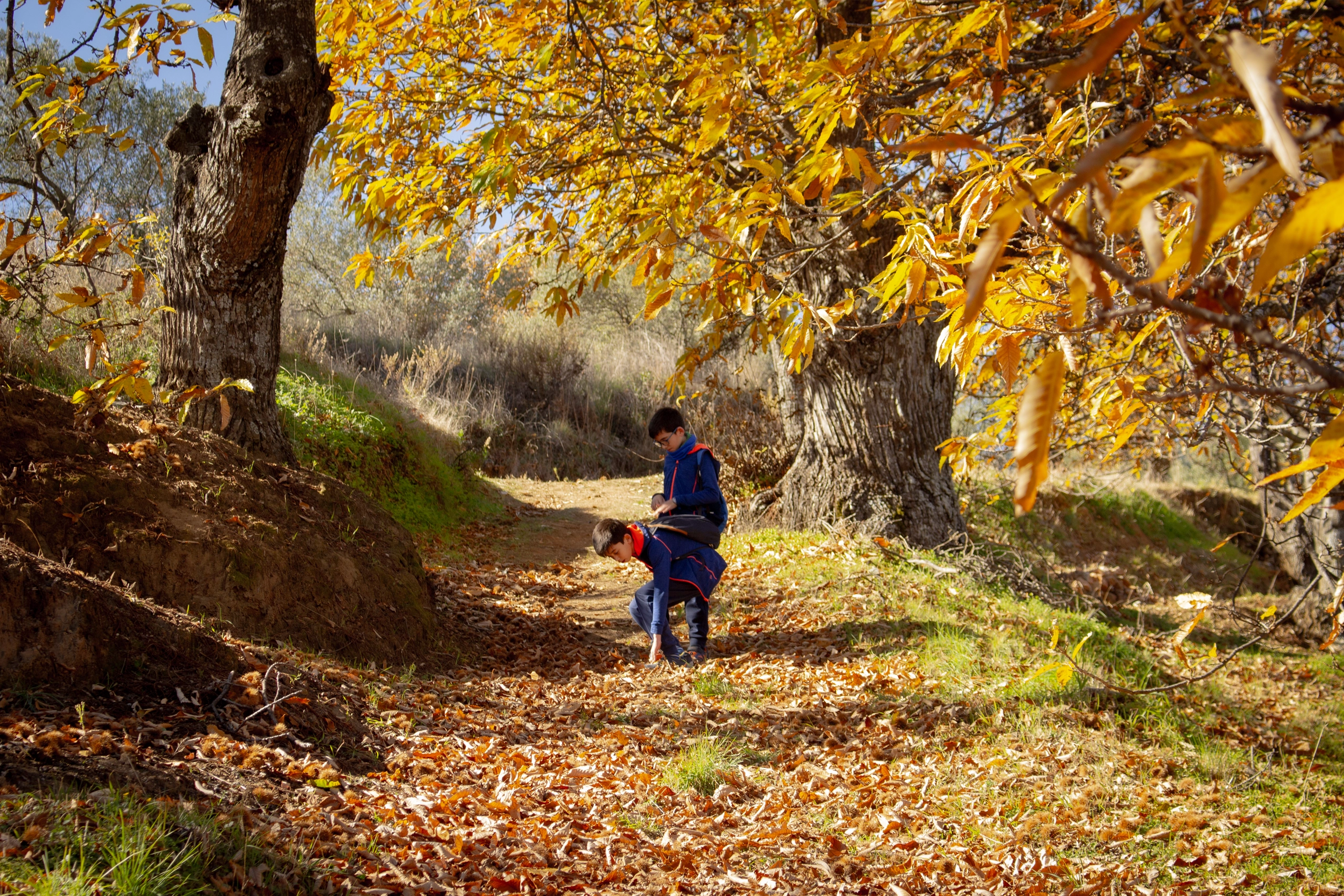 Senderismo Otoño Sierra de las Nieves