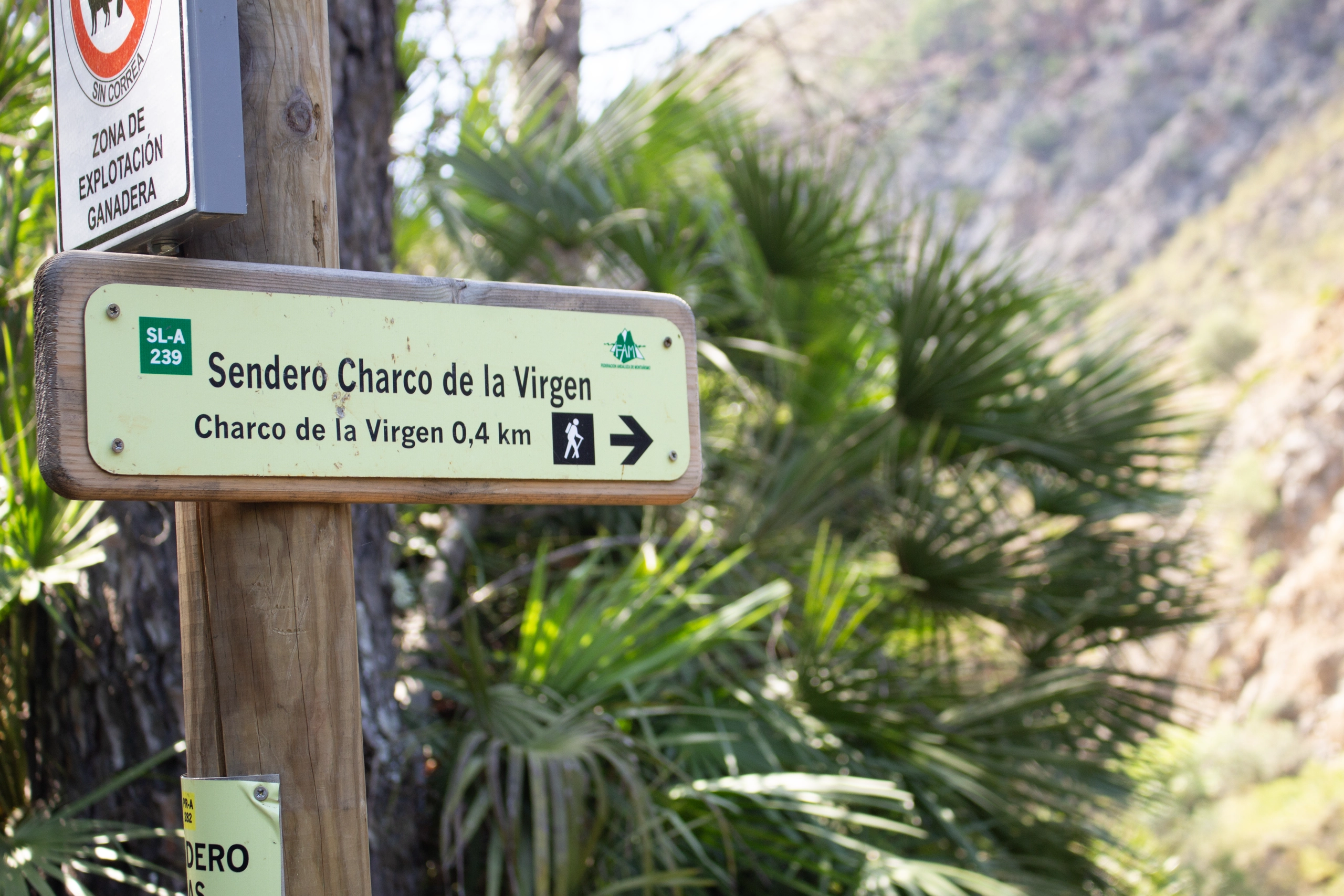 Sendero Charco de la Virgen