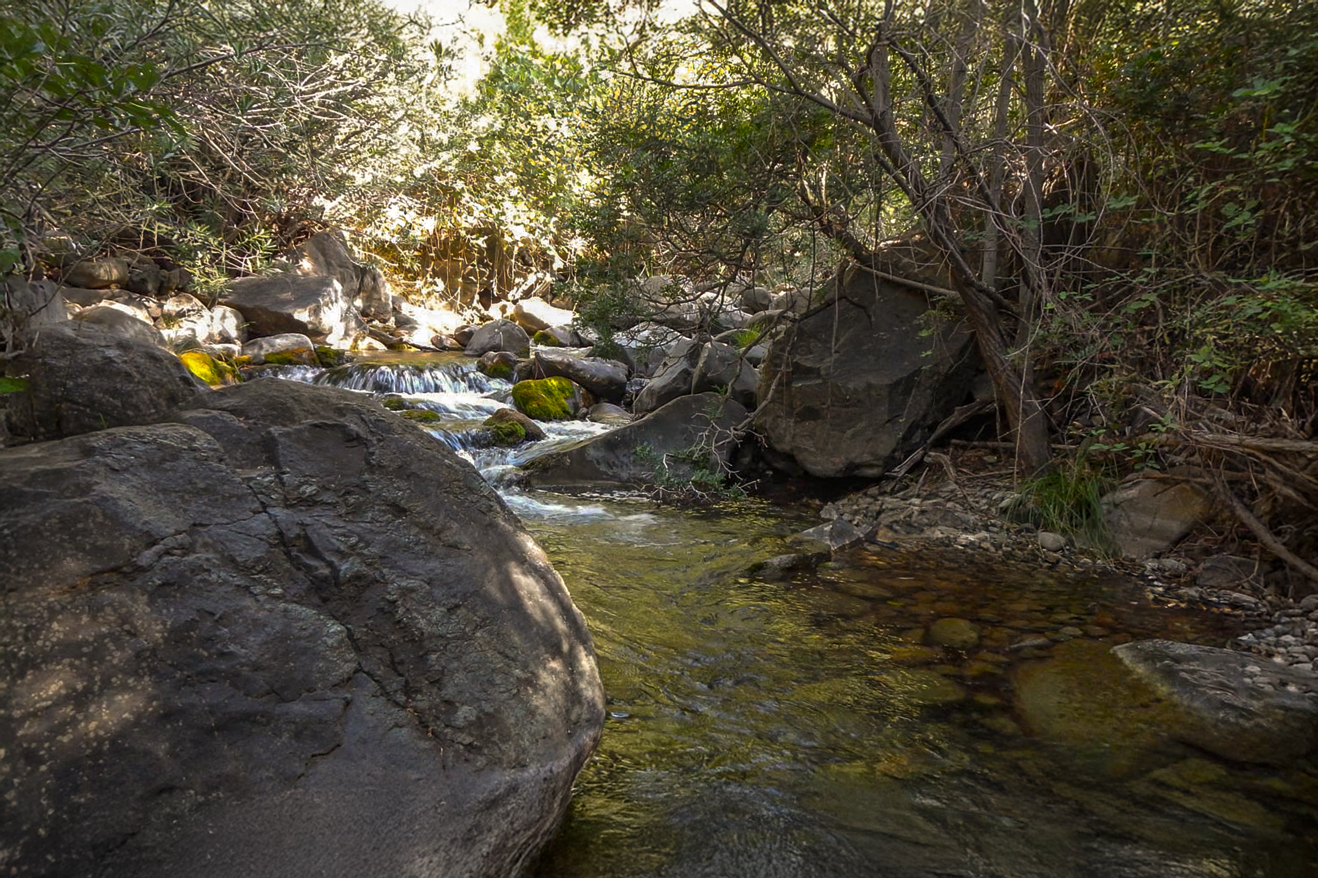 Nacimiento Río Verde