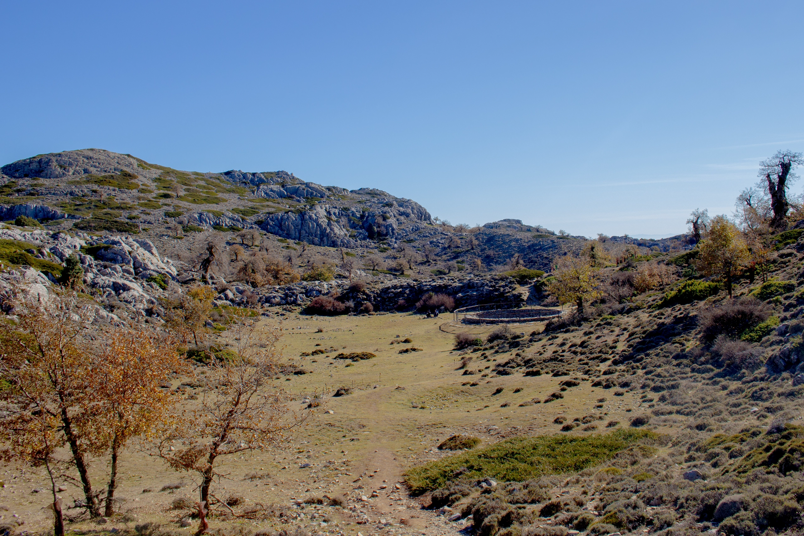Pozo de Nieves