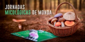 XV Jornada Micológica de Monda