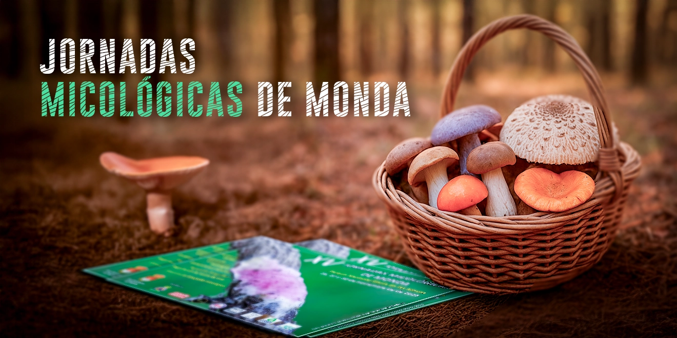XV Jornada Micológica de Monda