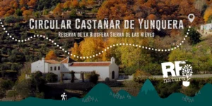 Circular Castañar de Yunquera - RF Natura