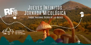 Jueves Infinitos de RF Natura: Un Viaje al Corazón Micológico del Parque Nacional Sierra de las Nieves