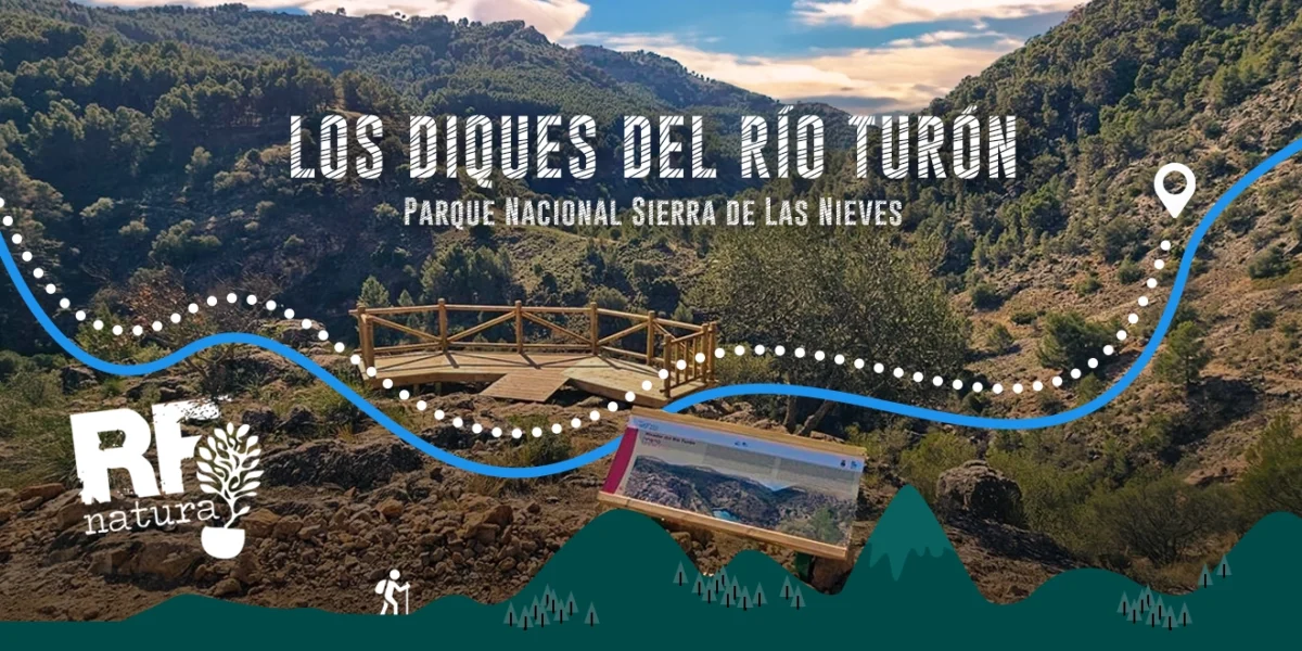 La cuenca alta del Turón: entre diques, el otoño en su máxima expresión.