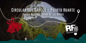 Ruta Navideña por la Sierra de las Nieves, Los Sauces – Puerto Huarte