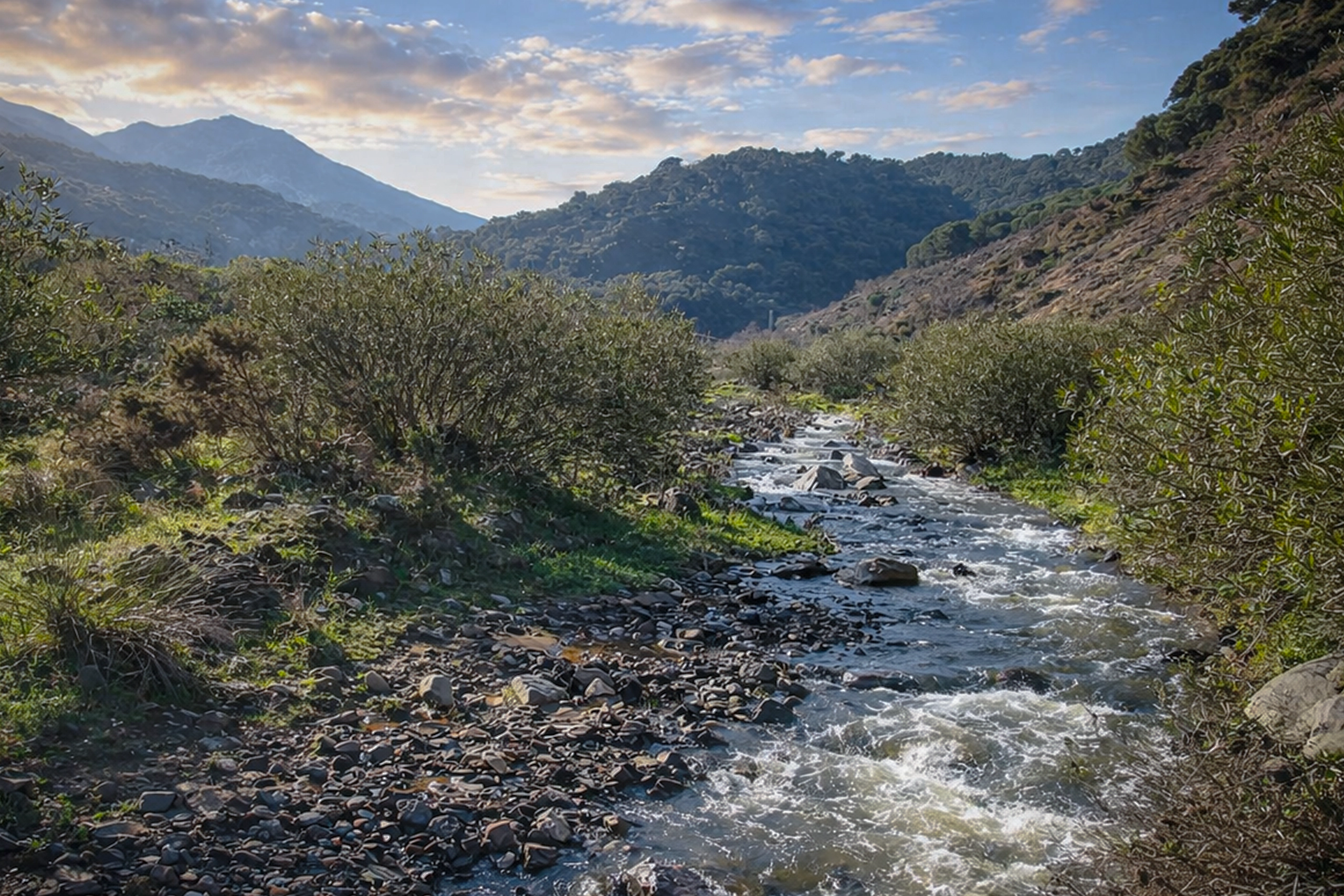 Arroyo de la Alpujata