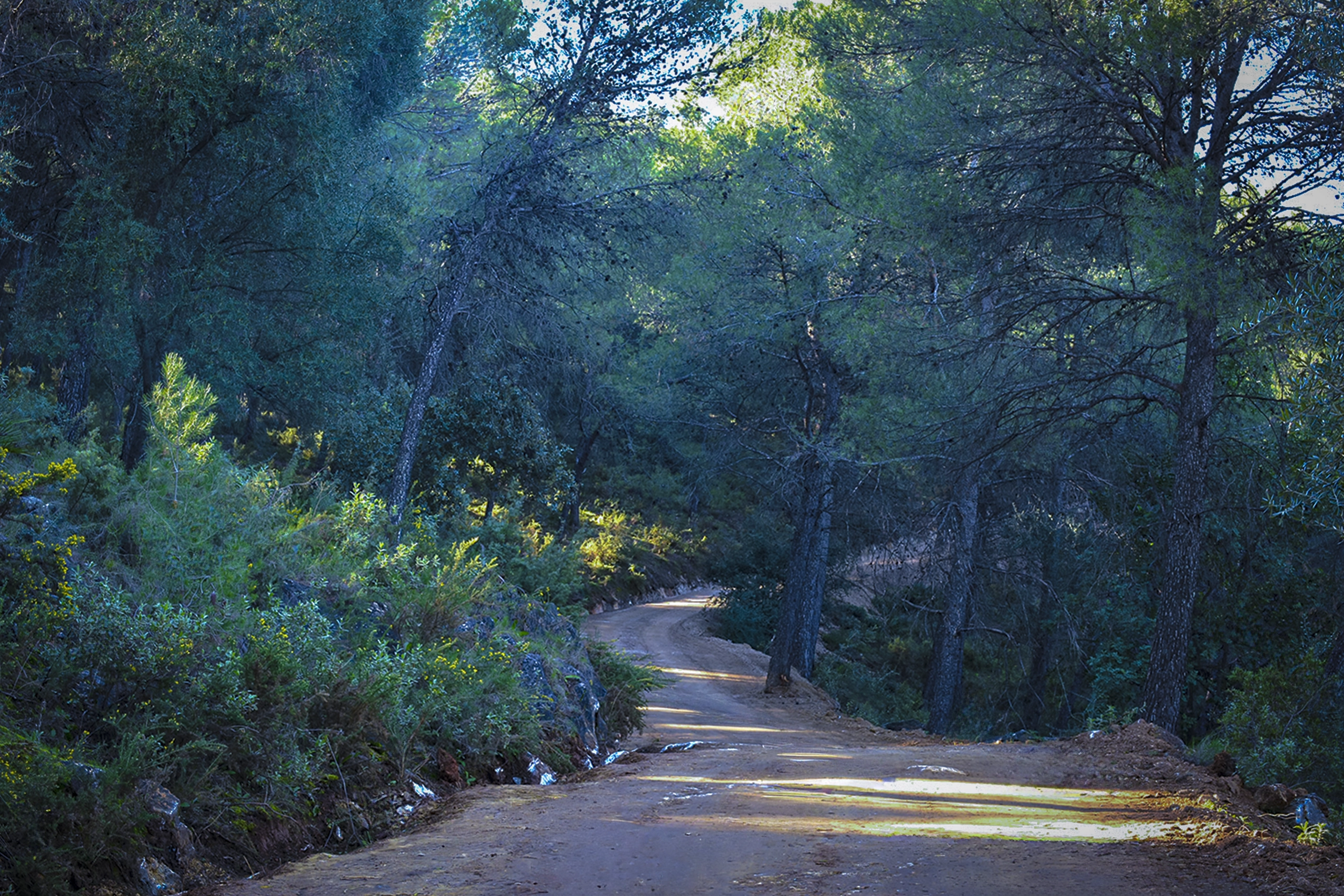 Sendero Monda - Cerro Gordo