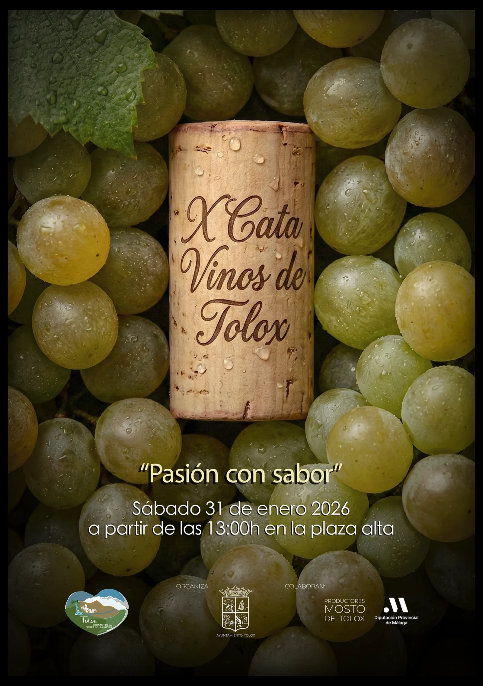 X Cata Vinos de Tolox 2026