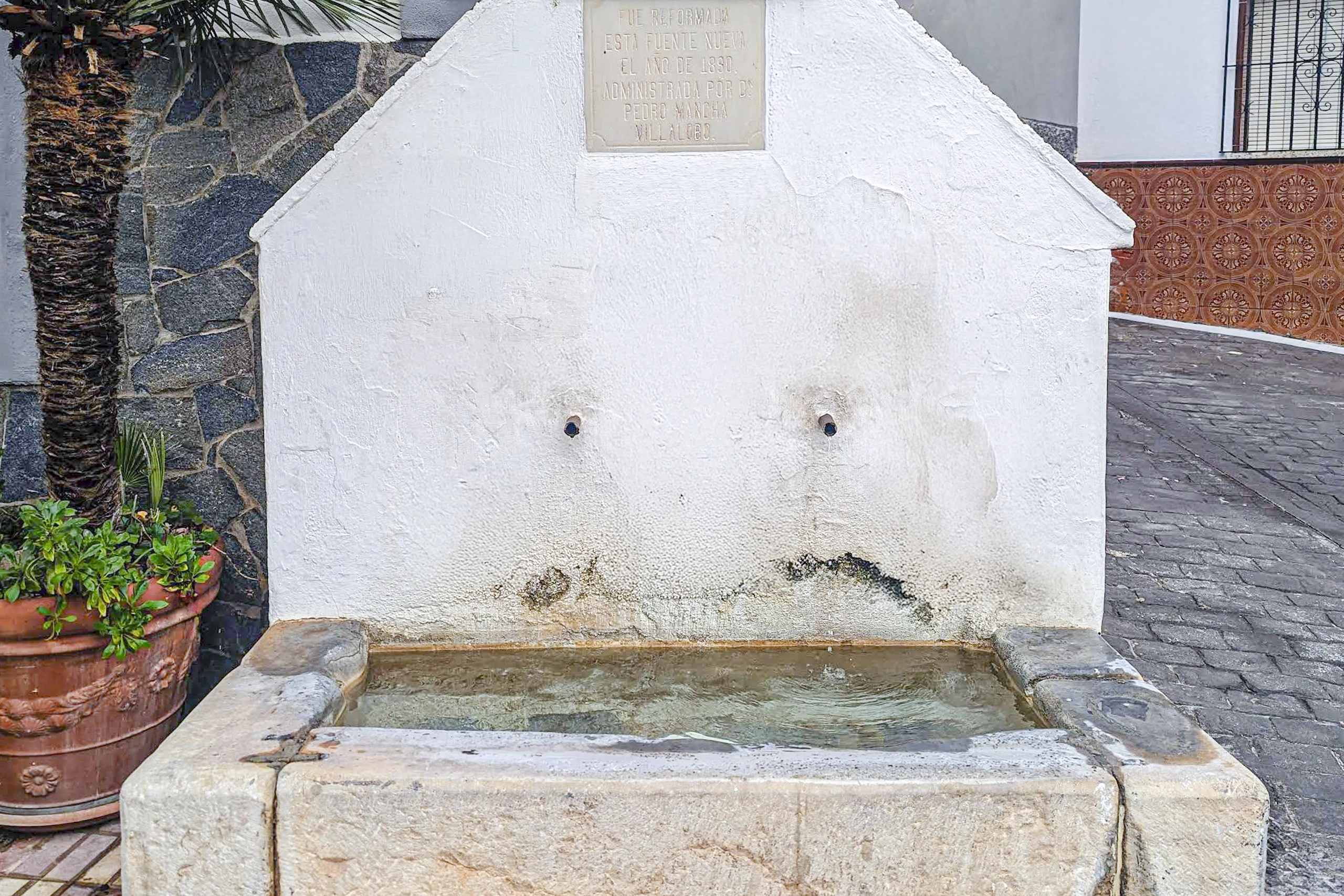 Fuente Mea Mea Fuente Mea Mea