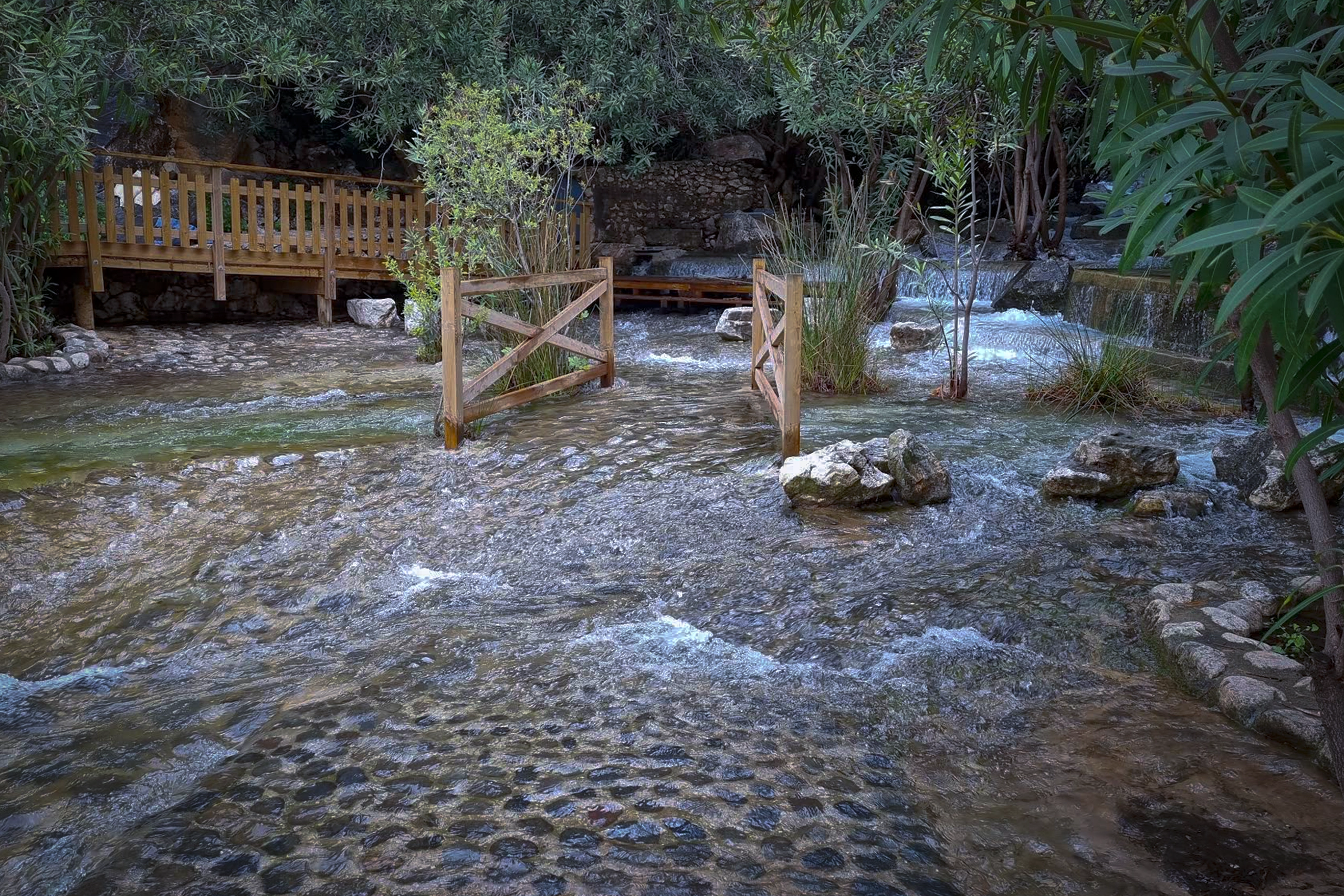 Nacimiento del Río Molinos