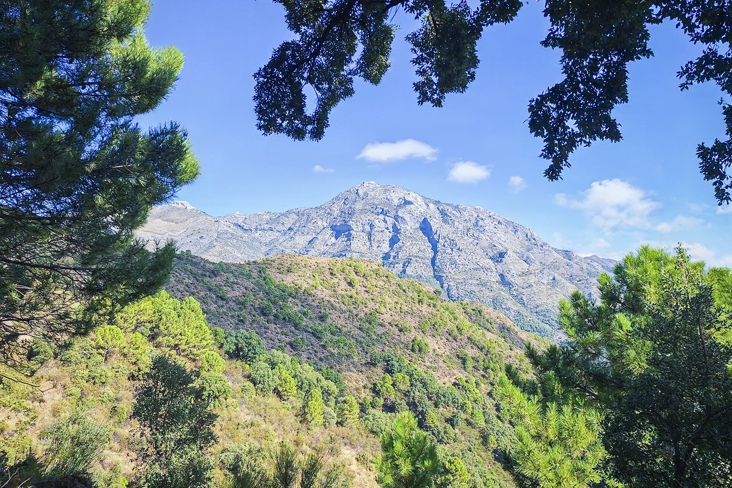 Pico Torrecilla desde Puerto de la Refriega