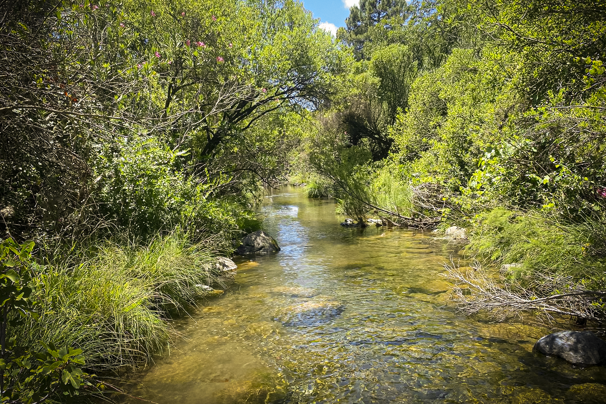 Río Verde