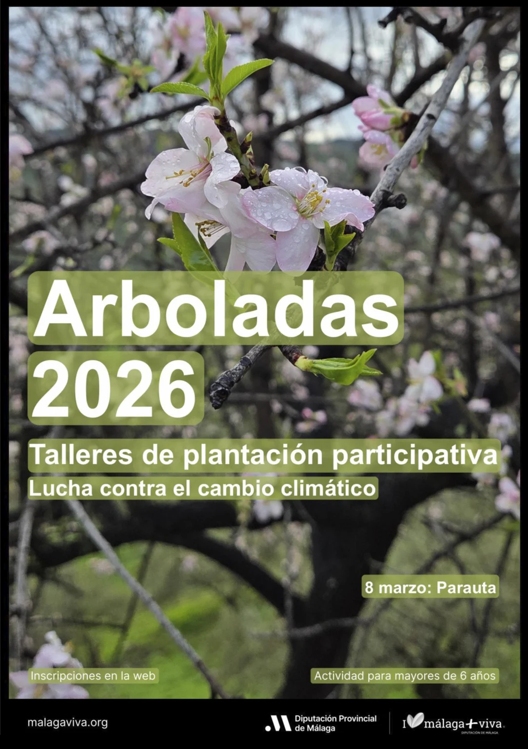 Cartel Oficial Arboladas 2026 en Parauta