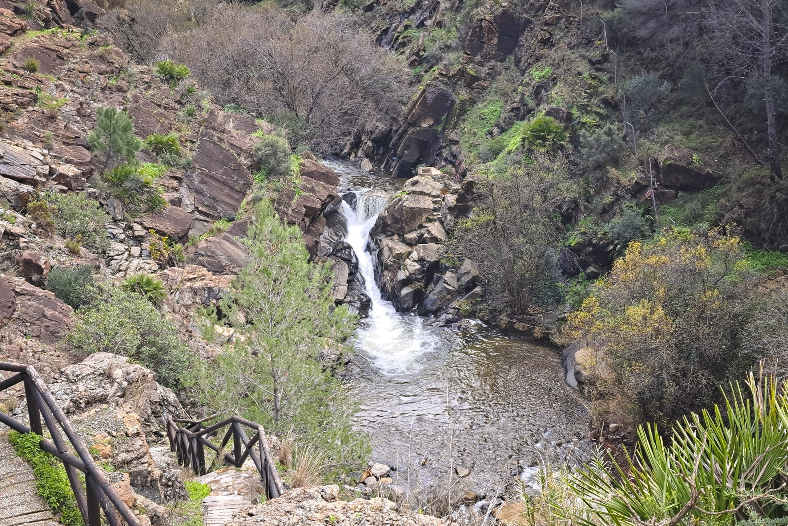 Charco las Viñas